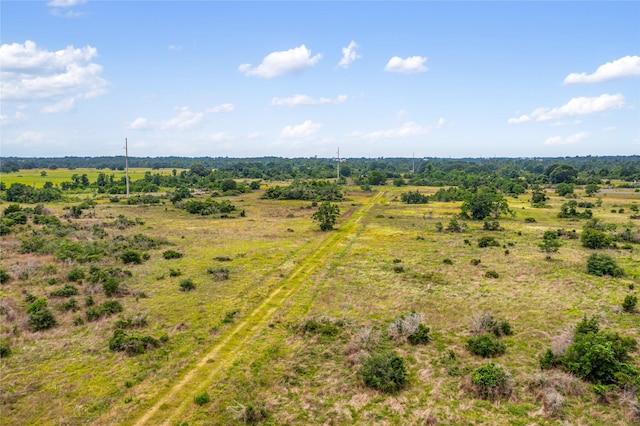 1055 Lisa Mae Rd, Bellville, TX 77418