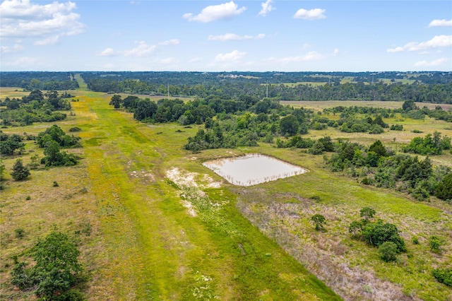 1055 Lisa Mae Rd, Bellville, TX 77418