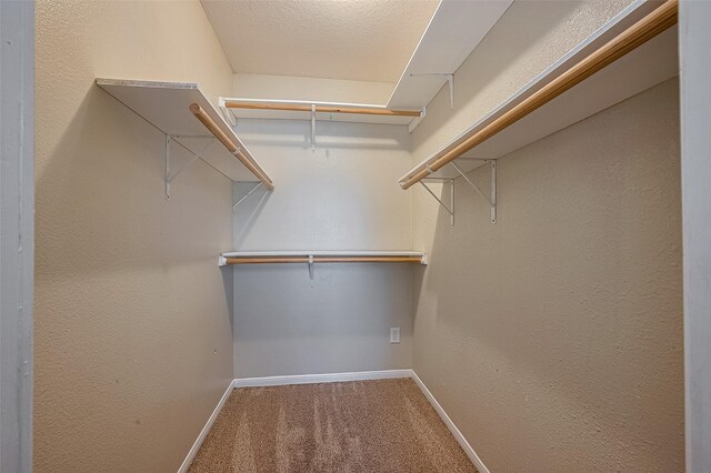 3426 Barkers Crossing Ave, Houston, TX 77084 - photo 29