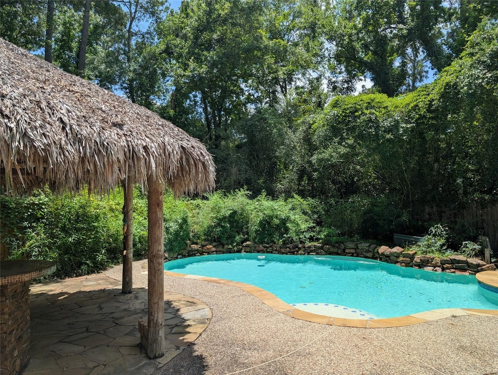 263 S Crimson Clover Ct, The Woodlands, TX 77381 - swimming pool with a patio