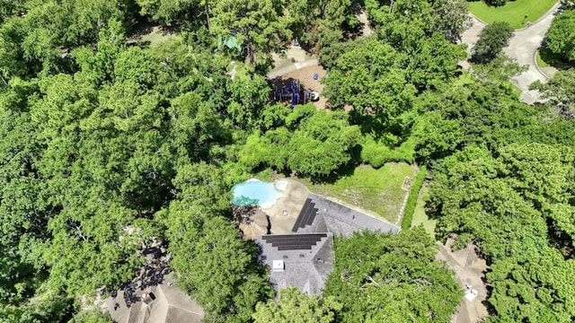 263 S Crimson Clover Ct, The Woodlands, TX 77381 - bird's eye view of a pool area