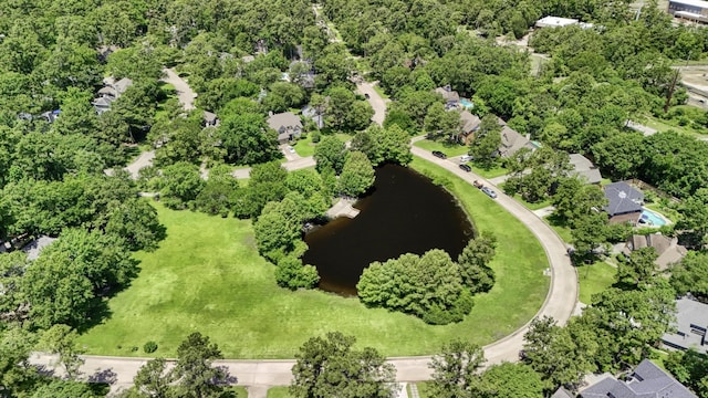263 S Crimson Clover Ct, The Woodlands, TX 77381 - aerial view of a large body of water