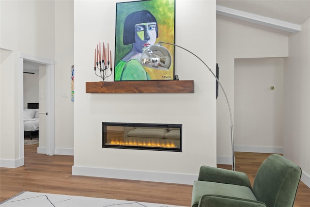 3022 Grove Terrace Dr, Houston, TX 77345 - living room with wood finished floors, a glass covered fireplace, baseboards, and lofted ceiling