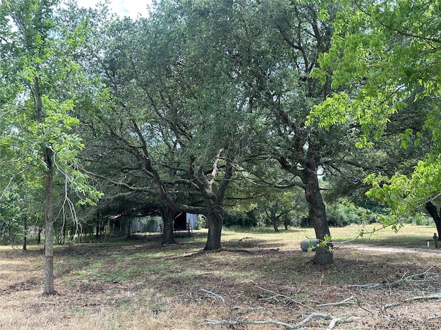 38825 Wiggins Rd, Hempstead, TX 77445
