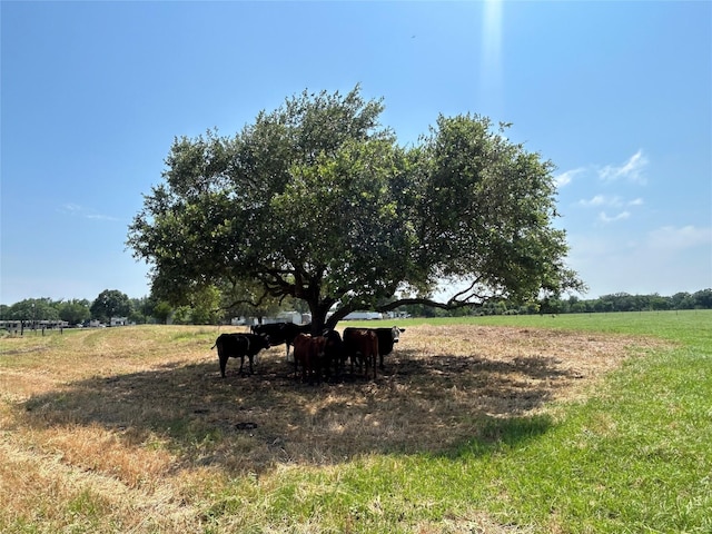 38535 Wiggins Rd, Hempstead, TX 77445