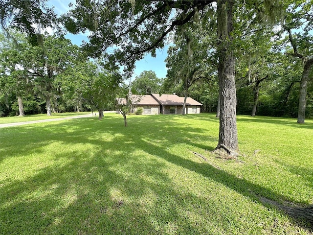 113 Fm 3454th Rd, Huntsville, TX 77320 - view of grassy yard featuring view of wooded area