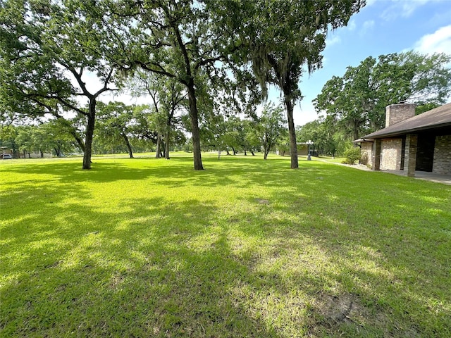 113 Fm 3454th Rd, Huntsville, TX 77320 - view of grassy yard