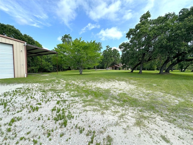 113 Fm 3454th Rd, Huntsville, TX 77320 - view of green lawn with view of scattered trees