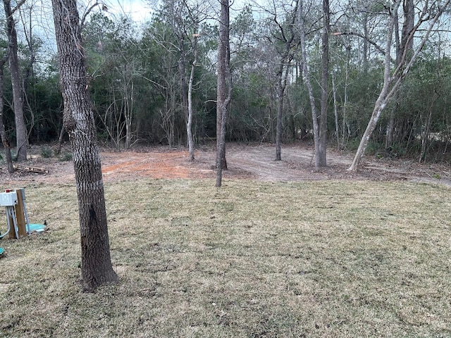 14942 Colt Ln, Willis, TX 77378 - photo 1