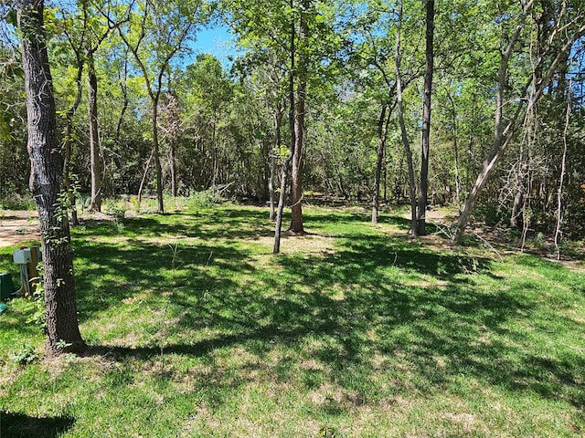 14942 Colt Ln, Willis, TX 77378 - photo 2
