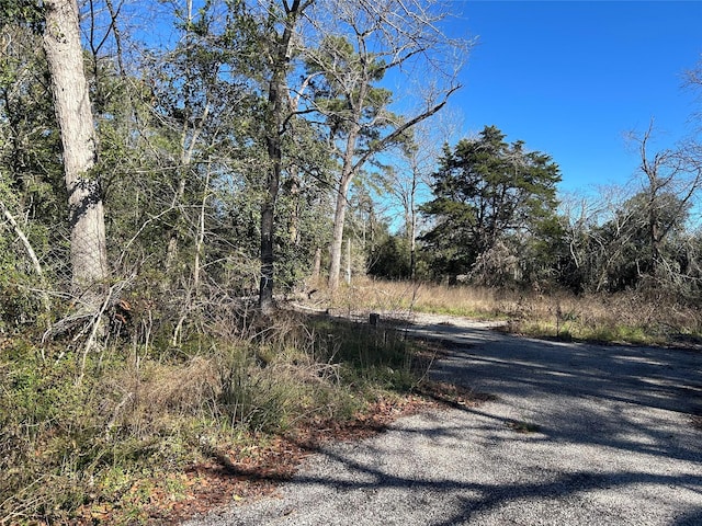 14942 Colt Ln, Willis, TX 77378 - photo 6