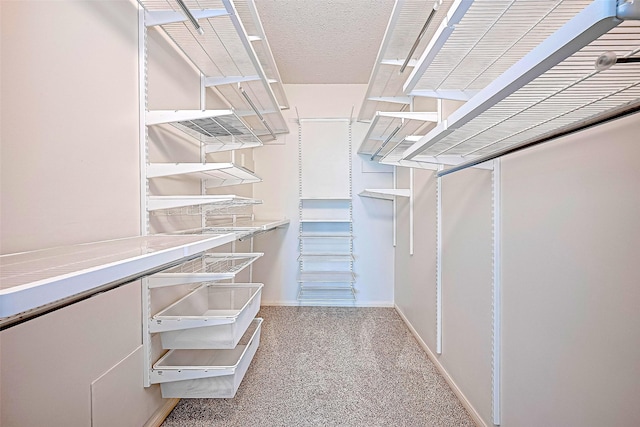 651 Bering Dr Unit 1101, Houston, TX 77057 - view of walk in closet