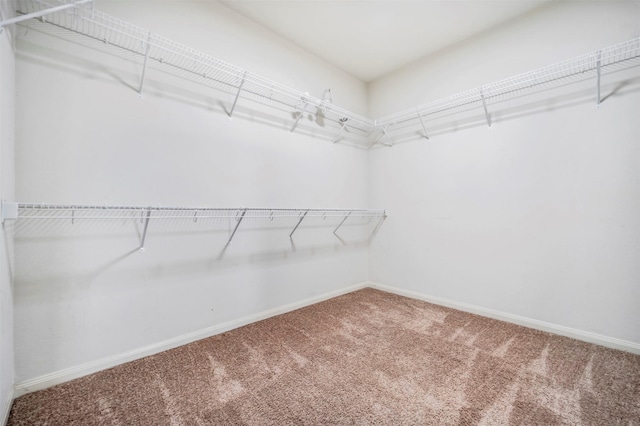 21114 Echo Manor Dr, Hockley, TX 77447 - walk in closet with carpet flooring