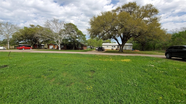 105 Country Oaks St, Brazoria, TX 77422 - photo 4