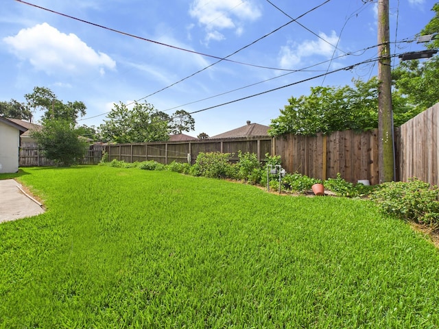 8206 Dillon St, Houston, TX 77061 - view of yard