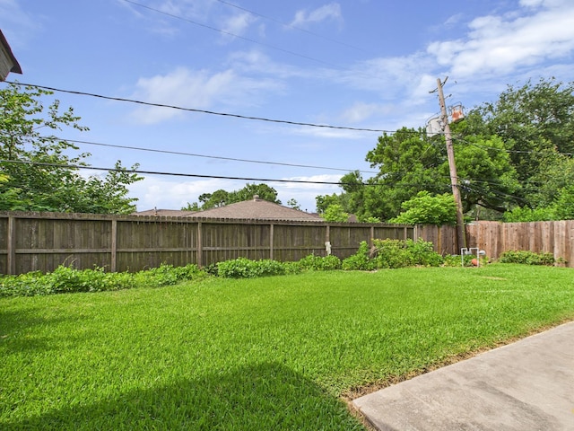 8206 Dillon St, Houston, TX 77061 - view of yard