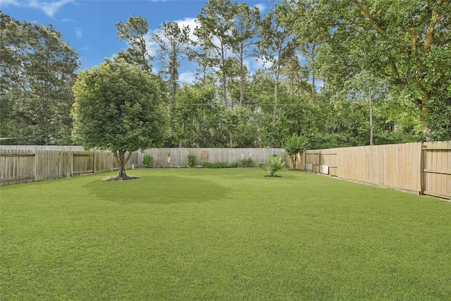 7818 Silver Lure Dr, Humble, TX 77346 - view of yard