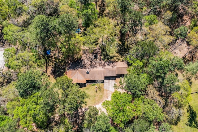 3027 Pine Acres Dr, Conroe, TX 77384 - view from above of property