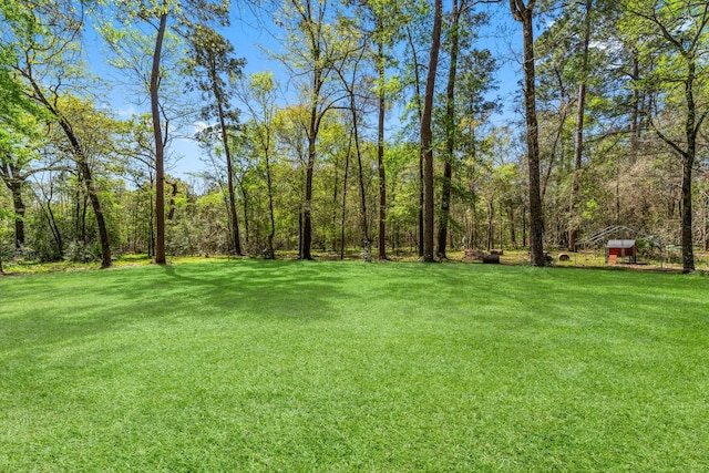 3027 Pine Acres Dr, Conroe, TX 77384 - view of green lawn