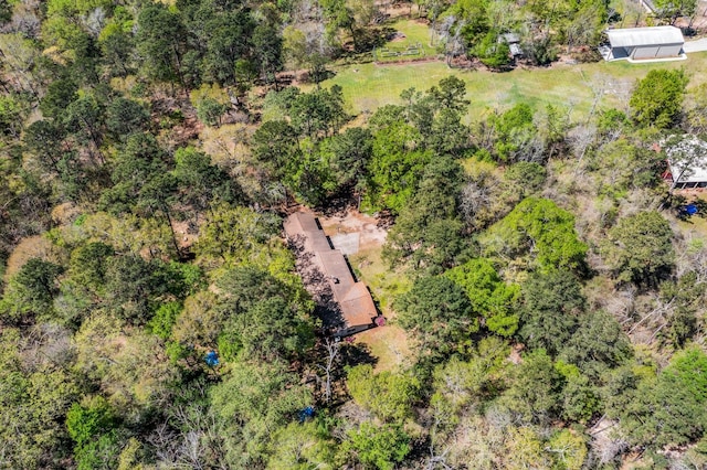 3027 Pine Acres Dr, Conroe, TX 77384 - bird's eye view