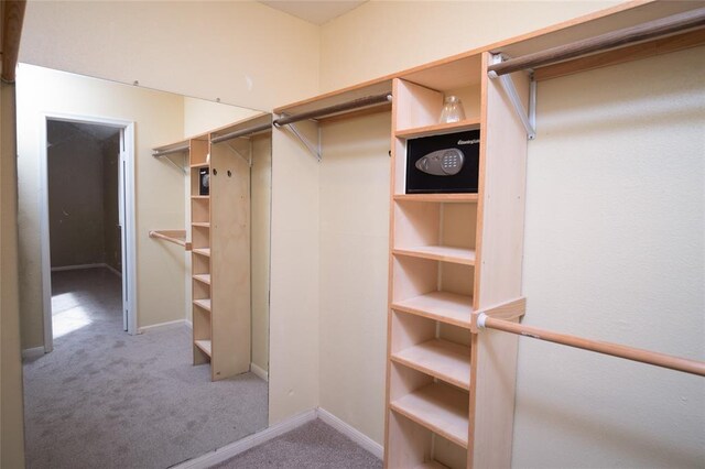 16800 Sugar Pine Dr Unit F44, Houston, TX 77090 - spacious closet with carpet