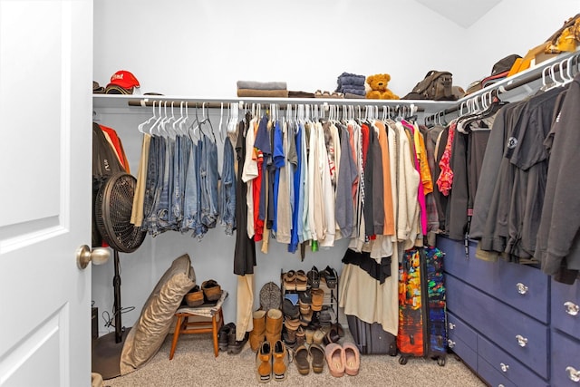 315 Coral Drift Ct, Crosby, TX 77532 - spacious closet with carpet flooring