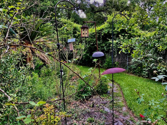 24360 Webb Rd, Porter, TX 77365 - view of yard