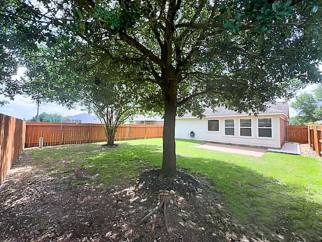 29375 Alba Rose Dr, Spring, TX 77386 - view of yard with a patio area