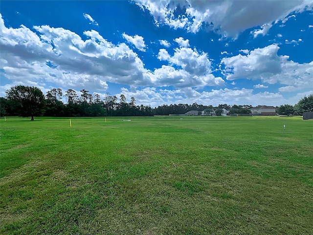 29375 Alba Rose Dr, Spring, TX 77386 - view of grassy yard