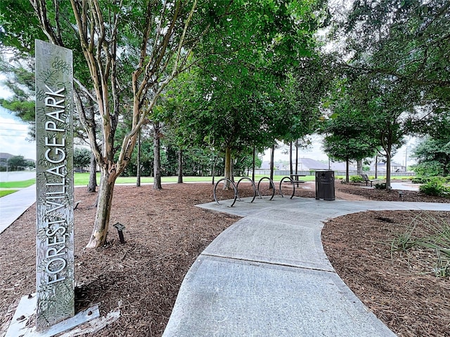 29375 Alba Rose Dr, Spring, TX 77386 - view of property's community