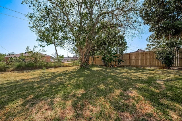 8302 Tavenor Ln, Houston, TX 77075 - view of yard
