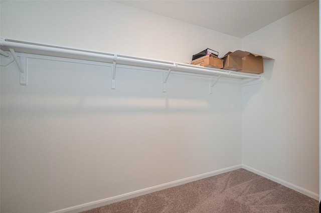 12327 Buck Sable Ln, Houston, TX 77044 - spacious closet with carpet floors
