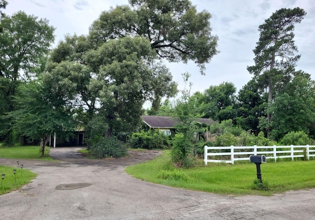 25321 Bluff View Ct, Magnolia, TX 77355 - view of asphalt driveway