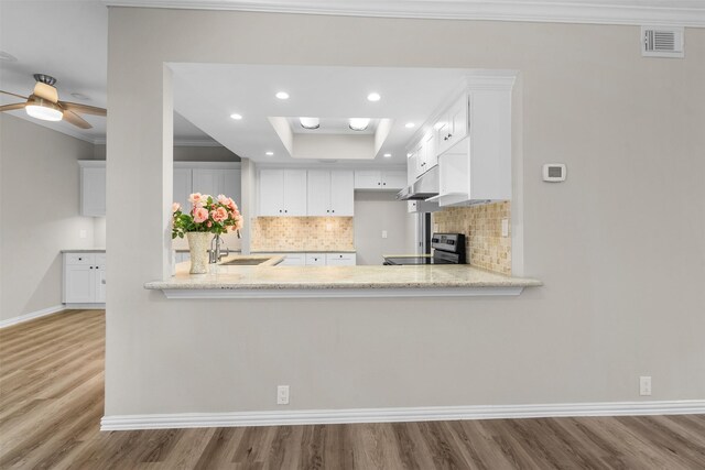 161 Litchfield Ln, Houston, TX 77024 - kitchen featuring ornamental molding, decorative backsplash, wood finished floors, stove, and a tray ceiling