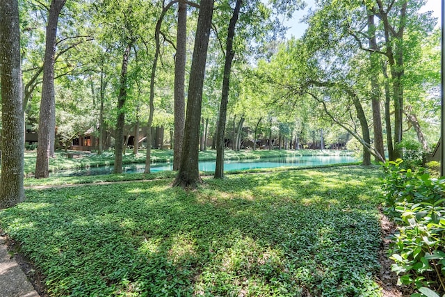 161 Litchfield Ln, Houston, TX 77024 - view of yard with a water view