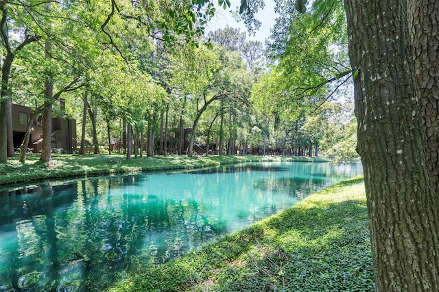 161 Litchfield Ln, Houston, TX 77024 - water view featuring a forest