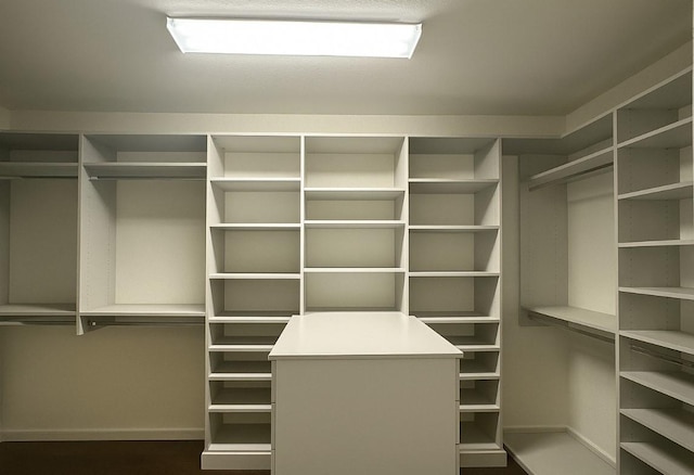 21015 Arden Park Dr, Richmond, TX 77407 - view of spacious closet