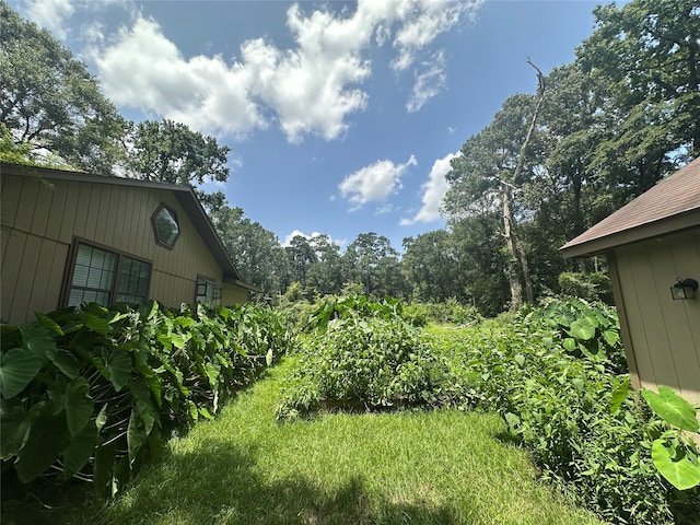 3319 Trent Rd, Huffman, TX 77336 - photo 28
