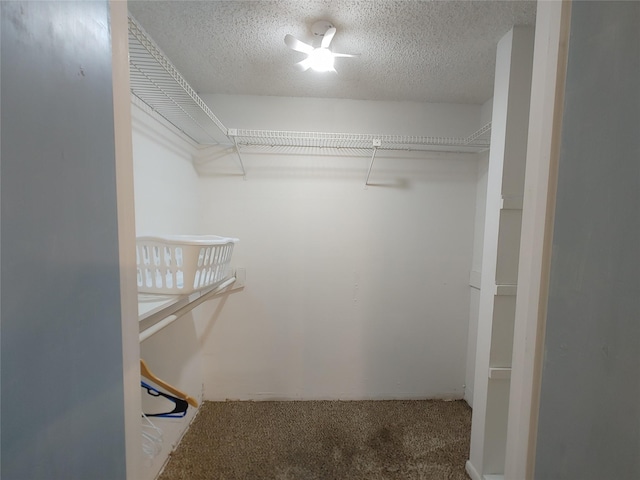 9711 Ebb St, Houston, TX 77089 - walk in closet featuring carpet