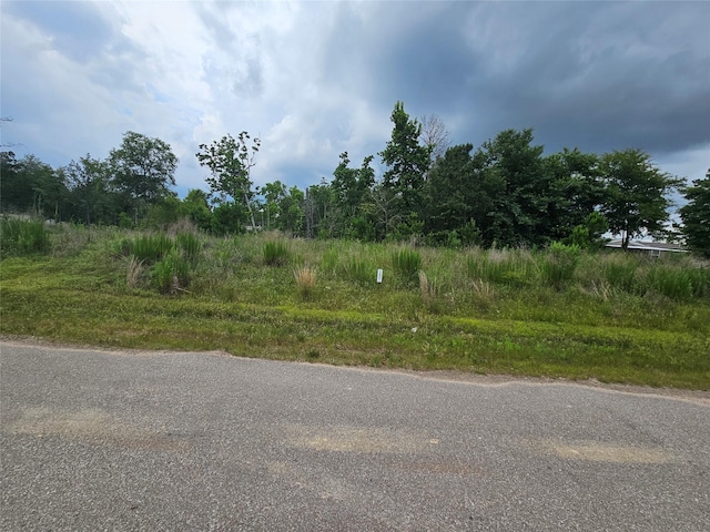 12551 County Road 37494, Cleveland, TX 77327 - photo 1