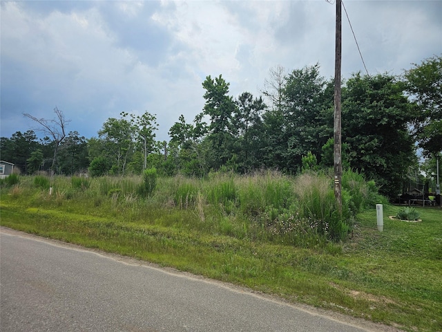 12551 County Road 37494, Cleveland, TX 77327 - photo 5