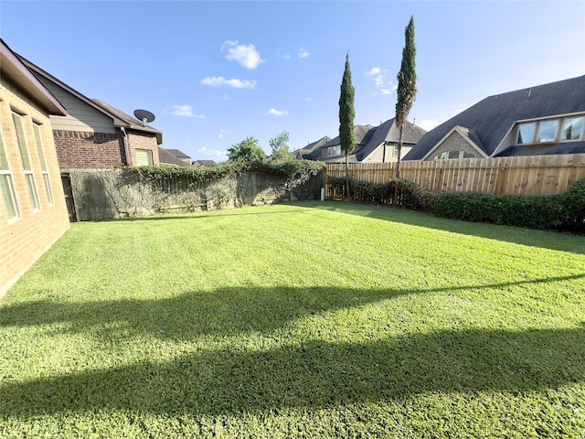 9723 Reston Ranch Ct, Cypress, TX 77433 - view of yard