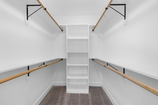 6155 Ridgeway Dr, Houston, TX 77033 - walk in closet with carpet