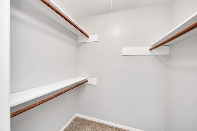 15723 Cascade Point Dr, Houston, TX 77084 - walk in closet with carpet