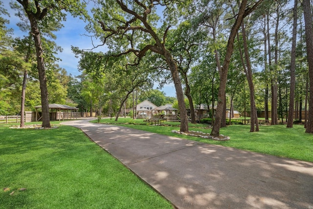 14111 Decker Dr, Magnolia, TX 77355 - surrounding community with driveway
