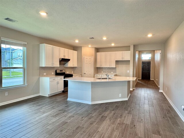 2115 Katalonia Ln, Fresno, TX 77545 - kitchen featuring stainless steel stove, under cabinet range hood, dark wood-type flooring, healthy amount of natural light, and a textured ceiling