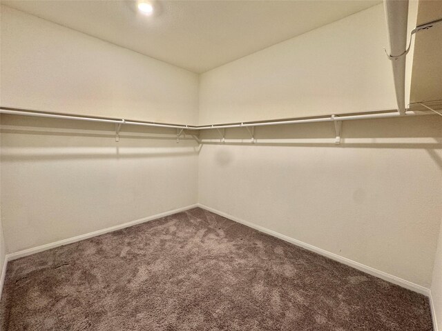 2115 Katalonia Ln, Fresno, TX 77545 - spacious closet featuring carpet floors