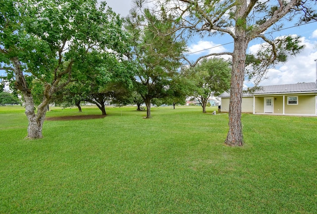 880 Swallow Dr, Palacios, TX 77465 - view of green lawn