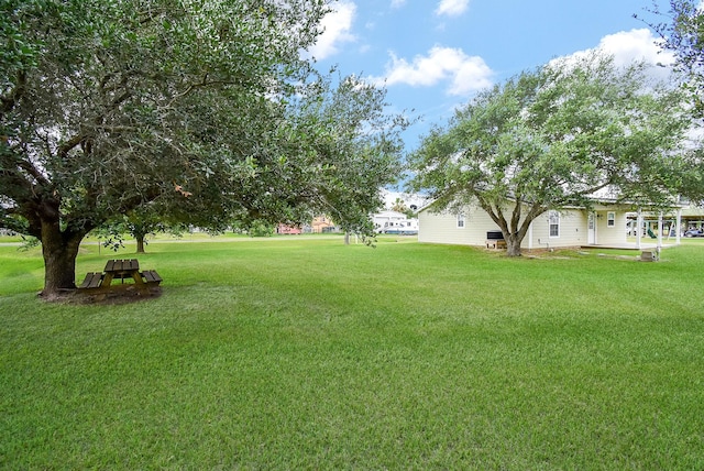 880 Swallow Dr, Palacios, TX 77465 - view of green lawn