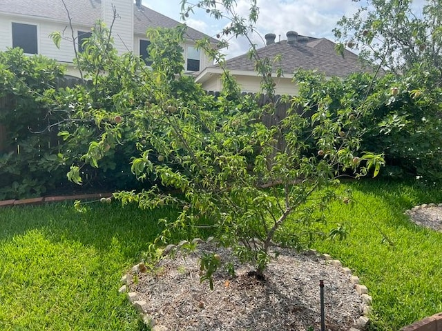 6603 Golden View Ct, Houston, TX 77083 - view of yard